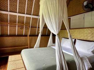 Damuh Pertivi, River and Rice Fields View