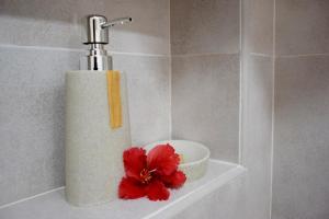 Lagati Self-Catering Seychelles