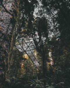 Harrys House Warburton - Peaceful Riverside cottage in the perfect location