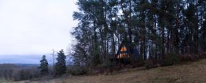 Campings Racine lodges : Chalet Supérieur
