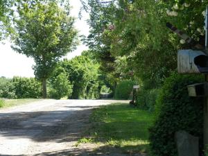 Cattle Barn - leben auf dem Hof