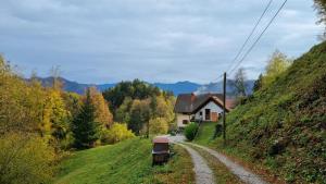 Apartma Pod orehom