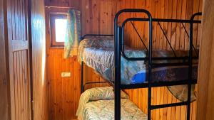 Camping de Cervera de Buitrago