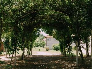 Appartements Furnished Apartment in Prayssac with Terrace : photos des chambres