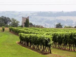 Maisons de vacances Warm Mansion with Swimming Pool in Sigoul s : photos des chambres