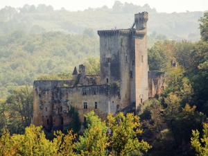 Maisons de vacances Warm Mansion with Swimming Pool in Sigoul s : photos des chambres