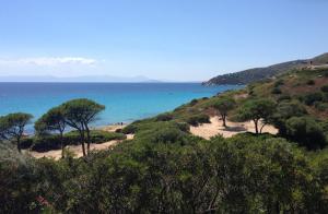 Daro's apartment img27