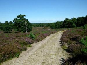 Holiday home Hirtenkate apartment 2