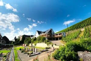 Chateau-de-la-Moselle - Kinheim