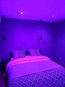 Appartements T2 Jacky IC. /Moto / Circuit 24h / Oasis /Antares : photos des chambres