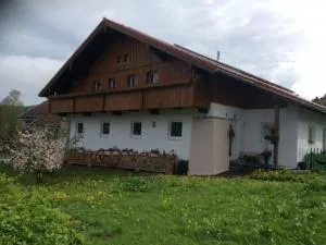 Holiday apartment Diana - 苏尔茨贝格