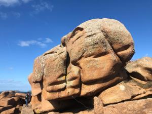 Appartements Les ecolodges Sous Le Phare : photos des chambres