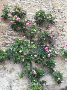 Maisons de vacances The Fontlozier castle #GN : photos des chambres