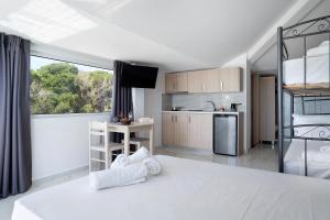Iguana studio 18
