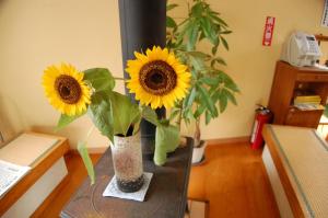 Sawatari Onsen Miyataya Ryokan