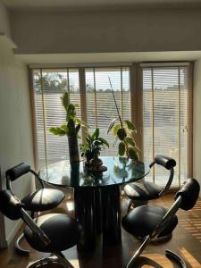 New appartment with art collection