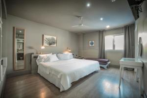 Premium Suite room in Hotel MC San José