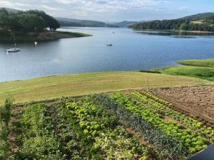 LES TERRASSES DU LAC