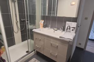 Schirmeck centre appartement au pied du château