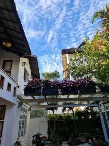 VILLA KIM GIA ĐÀ LẠT