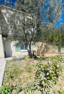 Appartements « La Cigale » : photos des chambres