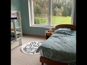 Appartements La Perle de Xonrupt - Appt vue montagne : photos des chambres