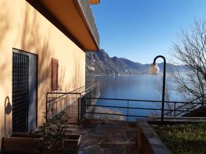 Il nido di Alice (Alices nest)