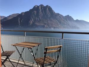 Il nido di Alice (Alices nest)