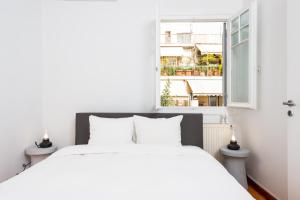 zen penthouse in exarchia