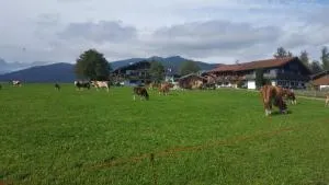 Ferienwohnung Max Hofreiter - Oberschönau Eins