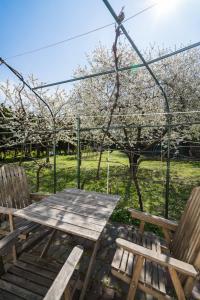 Squash Apartments & Studios