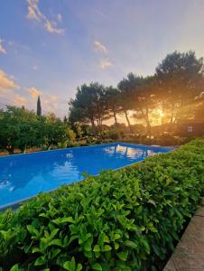 Villa Elisa trulliandmore - pool and tennis court
