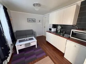 Lofoten booking - Holand