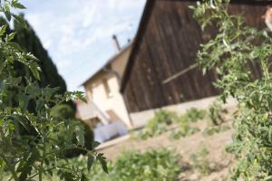 Appartements Ferme Typique Alsacienne : photos des chambres