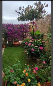 Casa Mariangela img16