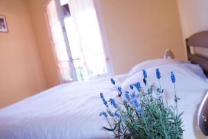 Appartements Ferme Typique Alsacienne : photos des chambres