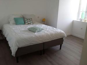 Villas Mas du 19eme dans le luberon : photos des chambres