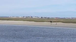Baie de somme - 康村