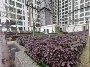 DSummit 3bedroom WiFi Netflix 5 Pax