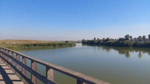 Herdade dos Salgados by Maggie