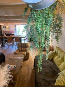 GITE Voie Verte , jardin, CV LOUHANS