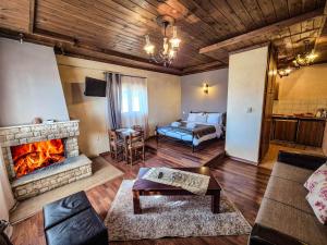 Αρχοντικό Τρικάλων