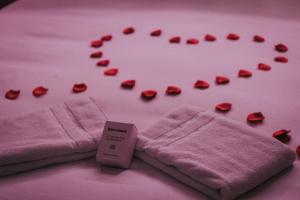 Loveroom en centre ville avec jacuzzi - Notre dame