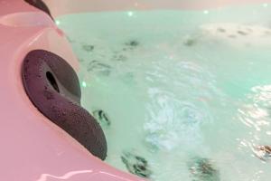 Loveroom en centre ville avec jacuzzi - Notre dame