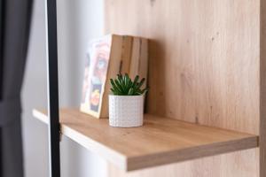 Modern 1-Bedroom Apartments