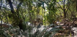 Capital Hill Stay at Spa