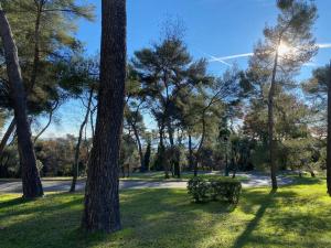 Appartements 2-Room 60 m², Panoramic view, 2 balconies, 50m Pool : photos des chambres