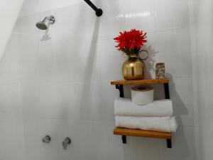 Apartaestudios La Baranda