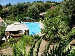 Les Mimosas - 比奥