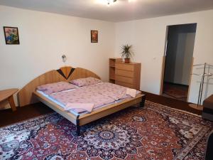 Double Room room in Pension Lípa